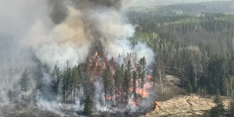 Canada’s Wildfire Crisis Worsens: Massive Smoke Plumes Choke Air Across North America