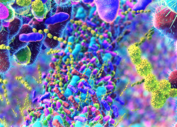 Gut Health Boosts Mental Well-Being: New Research Highlights the Gut-Brain Connection