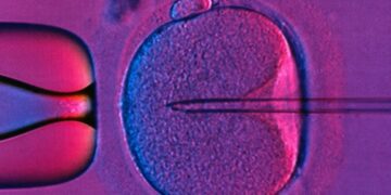 Pioneering Three-Person IVF Technique Spares Eight UK Children from Mitochondrial Diseases