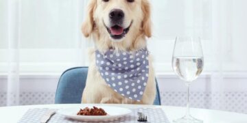 Childless Dog Owners Say Pets Are Center of Their Lives, Survey Finds