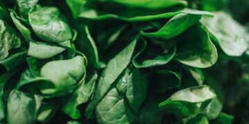 Magnesium: Miracle Supplement or Misunderstood Mineral?