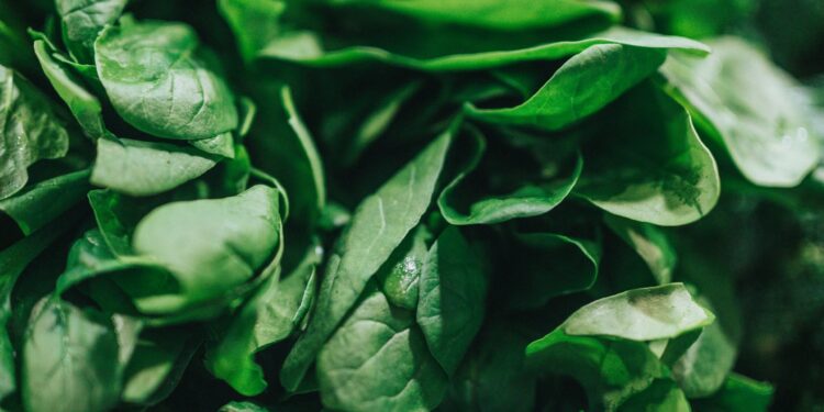 Magnesium: Miracle Supplement or Misunderstood Mineral?