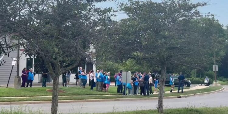 Mass Stabbing at Michigan Walmart Leaves 11 Injured, Suspect in Custody
