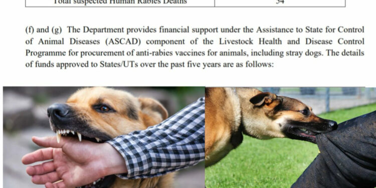 India Reports Over 3.7 Million Dog Bite Cases and 54 Suspected Rabies Deaths in 2024, NCDC Data Reveals