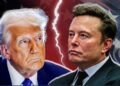 Chinese Social Media Backs Elon Musk in Feud with Donald Trump