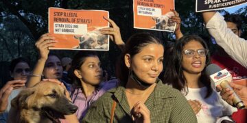India’s Supreme Court to Reexamine Stray Dog Issue in Fresh Hearing