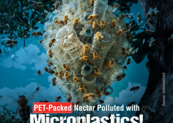 Microplastics Contaminate Honey, Threatening Bees and Nature’s Purity