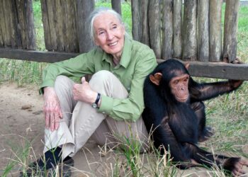 Renowned Primatologist Jane Goodall Dies at 91