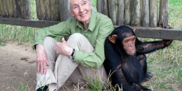 Renowned Primatologist Jane Goodall Dies at 91