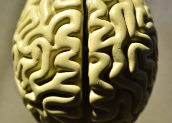 Where Psychology Meets Immunity: The Mind–Body Connection in Modern Science