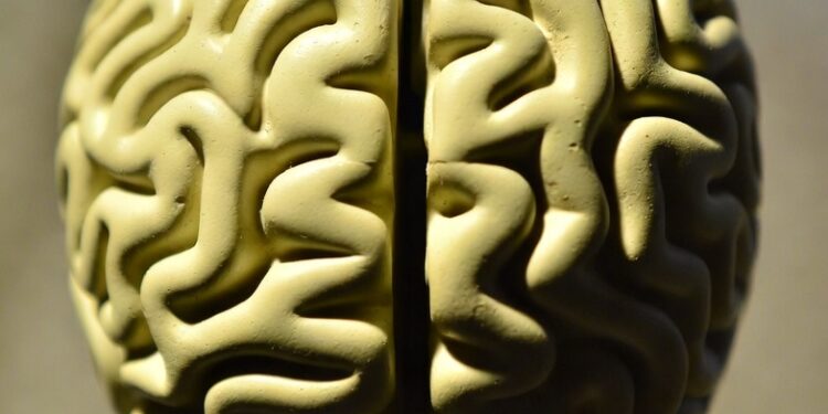 Where Psychology Meets Immunity: The Mind–Body Connection in Modern Science