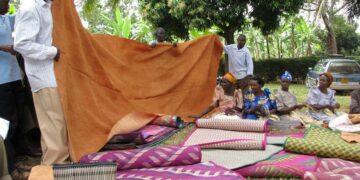 First Human Dress Traced to Fig Tree: Evidence from Scripture and Anthropology