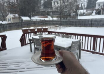 Tea: The Ancient Brew Outshining Coffee in Health Benefits