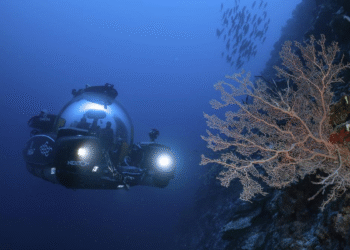 The Ocean at a Crossroads: Global Research Frontiers in 2026