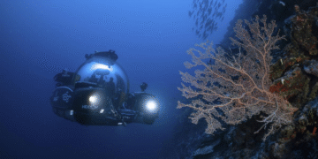 The Ocean at a Crossroads: Global Research Frontiers in 2026