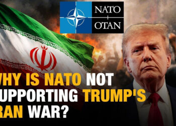 Why Is Fighting Alone as Shows Signs of Division?