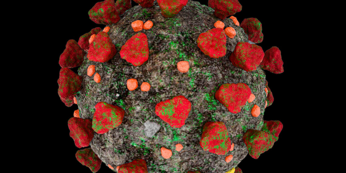 Cicada (BA.3.2): A Highly Mutated COVID-19 Variant Emerges Across 23 Countries — What the World Knows So Far