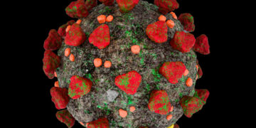 Cicada (BA.3.2): A Highly Mutated COVID-19 Variant Emerges Across 23 Countries — What the World Knows So Far